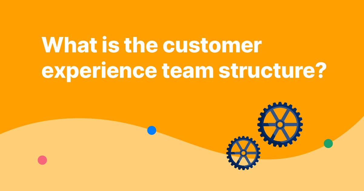 What is the customer experience team structure? - Capacity