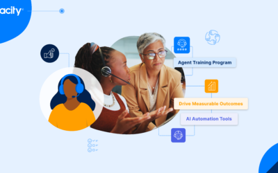 What is the customer experience team structure?